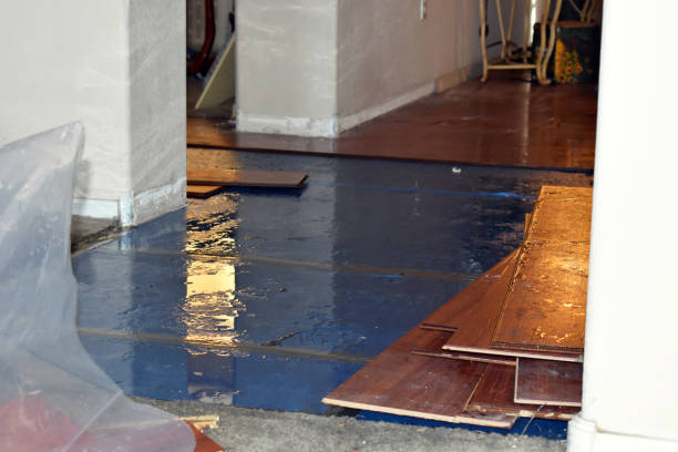 Professional Basement Flood Cleanup technician working in Graham, NC